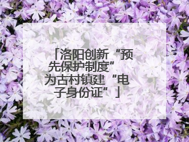 洛阳创新“预先保护制度” 为古村镇建“电子身份证”